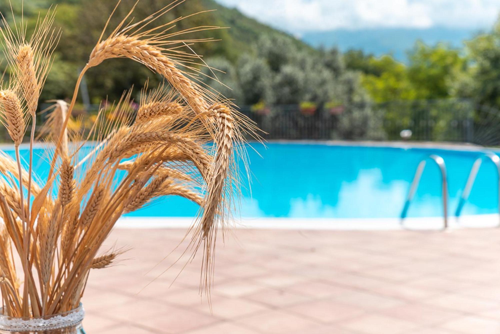 Agriturismo San Basilio Salento Ngoại thất bức ảnh