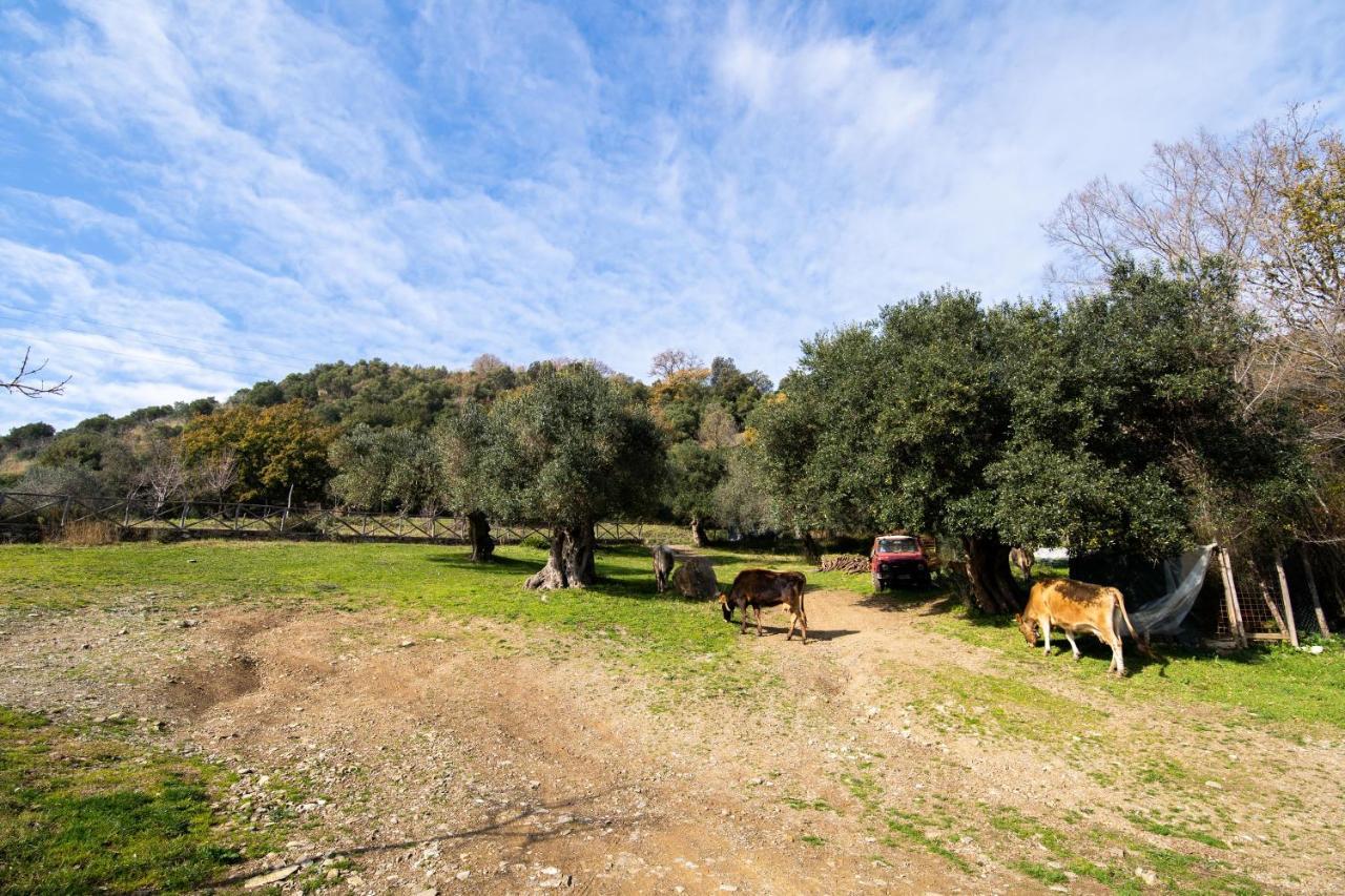 Agriturismo San Basilio Salento Ngoại thất bức ảnh
